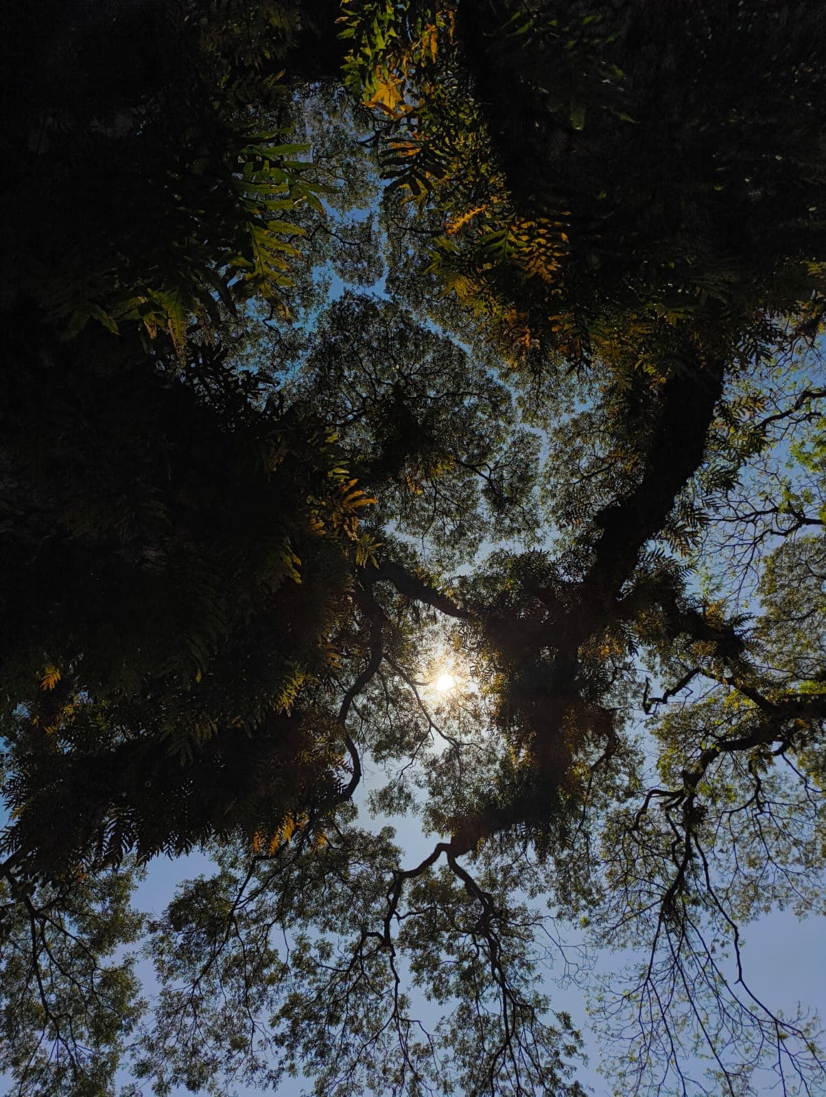 Reflections